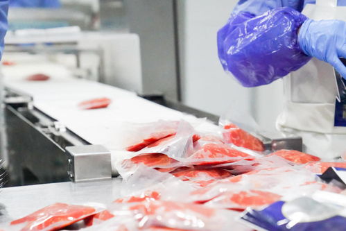 四川食品企業(yè)產(chǎn)銷(xiāo)兩旺齊發(fā)力 多措并舉沖刺年度目標(biāo)